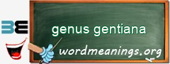 WordMeaning blackboard for genus gentiana